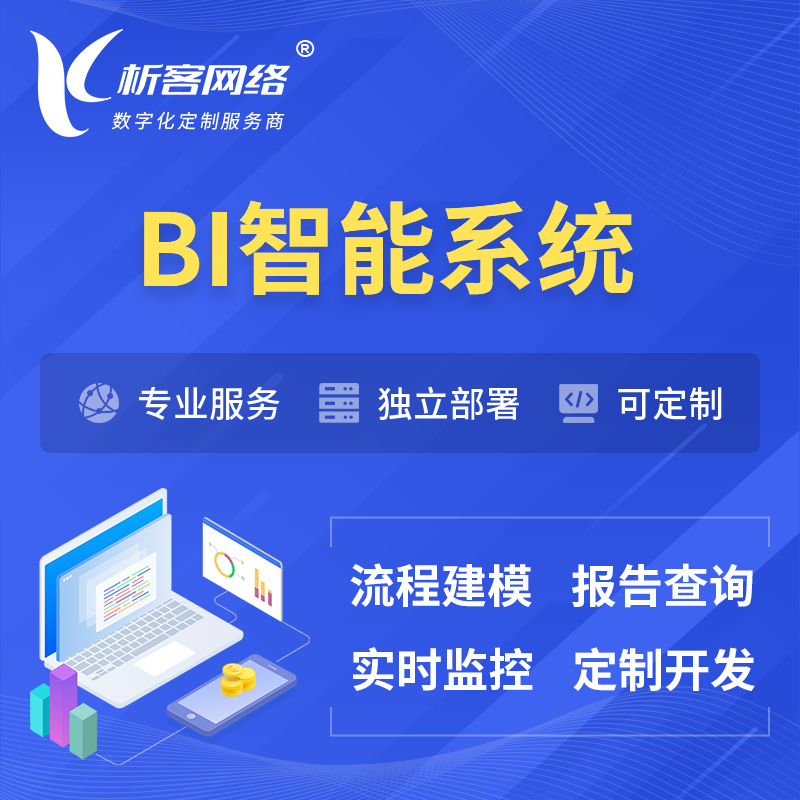 枣庄BI智能系统 | BI数据可视化
